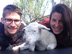 Op de boerderij