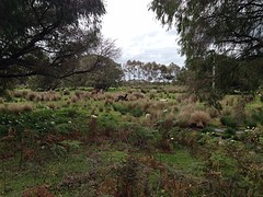 Op de boerderij