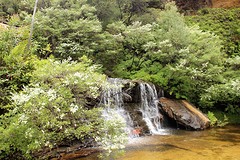Blue Mountains