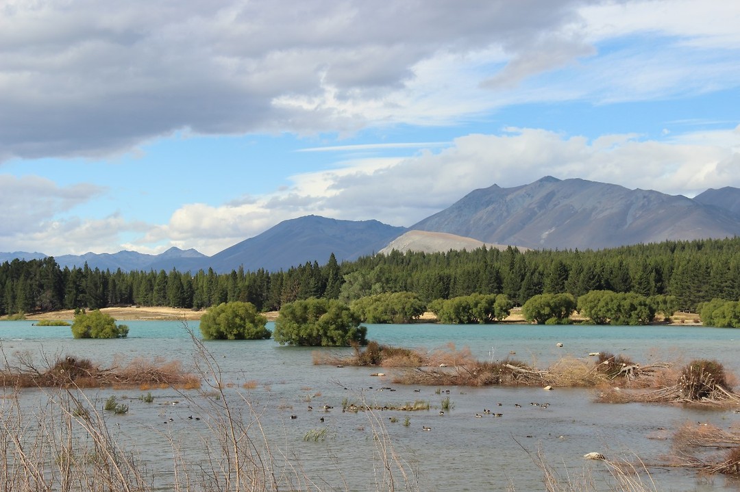Lake Tekapo