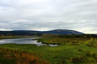 Sinclair Wetlands