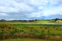 Sinclair Wetlands