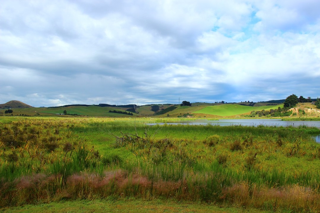Sinclair Wetlands