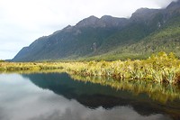 Mirror Pools