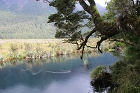 Mirror Pools
