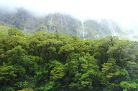 Milford Sound