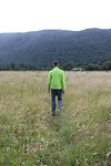 Hollyford Track