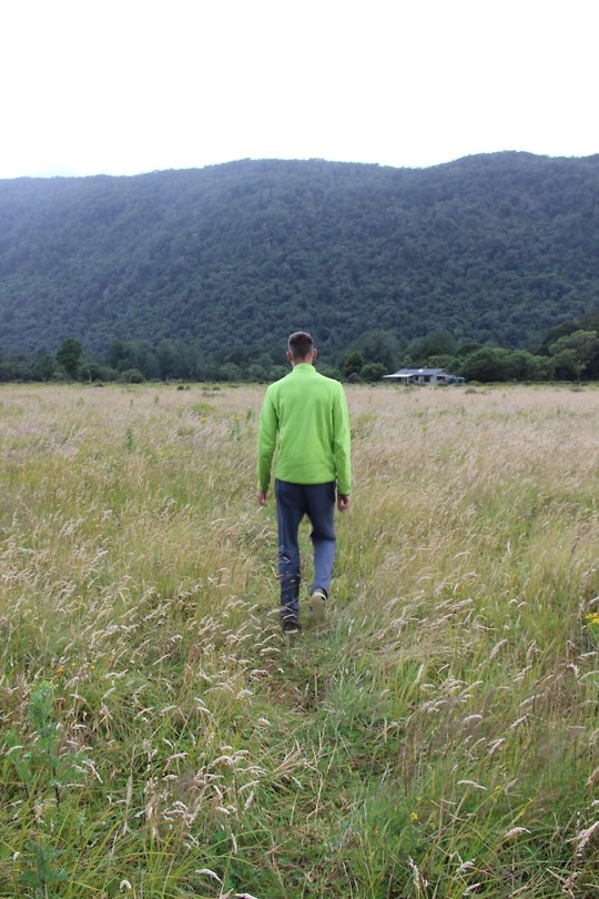 Hollyford Track