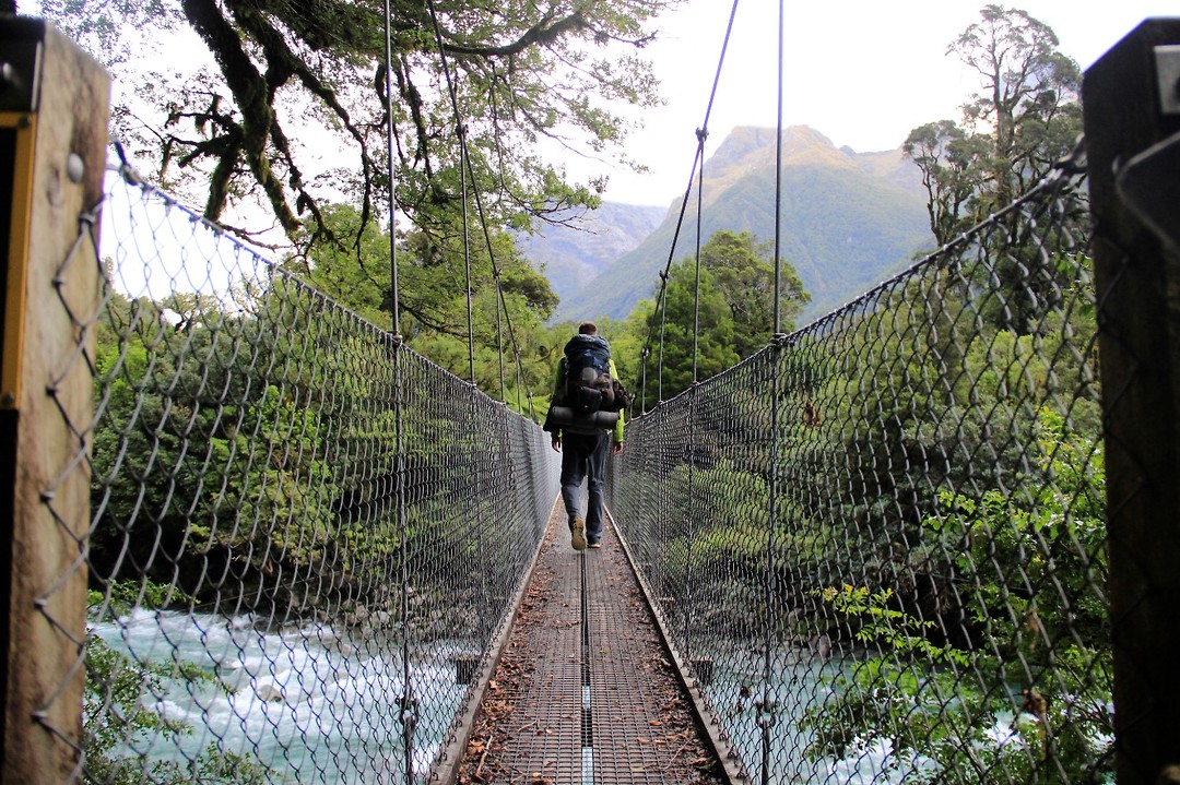 Hollyford Track