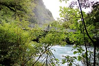 Hollyford Track