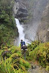 Hollyford Track