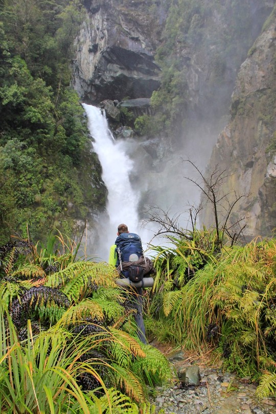 Hollyford Track
