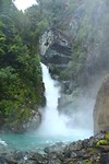 Hollyford Track