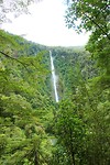 Milford Sound