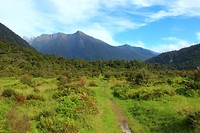 Copland Track