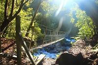 Copland Track