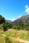 Copland Track