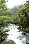 Hollyford Track
