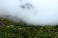 Hollyford Track