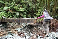 Hollyford Track