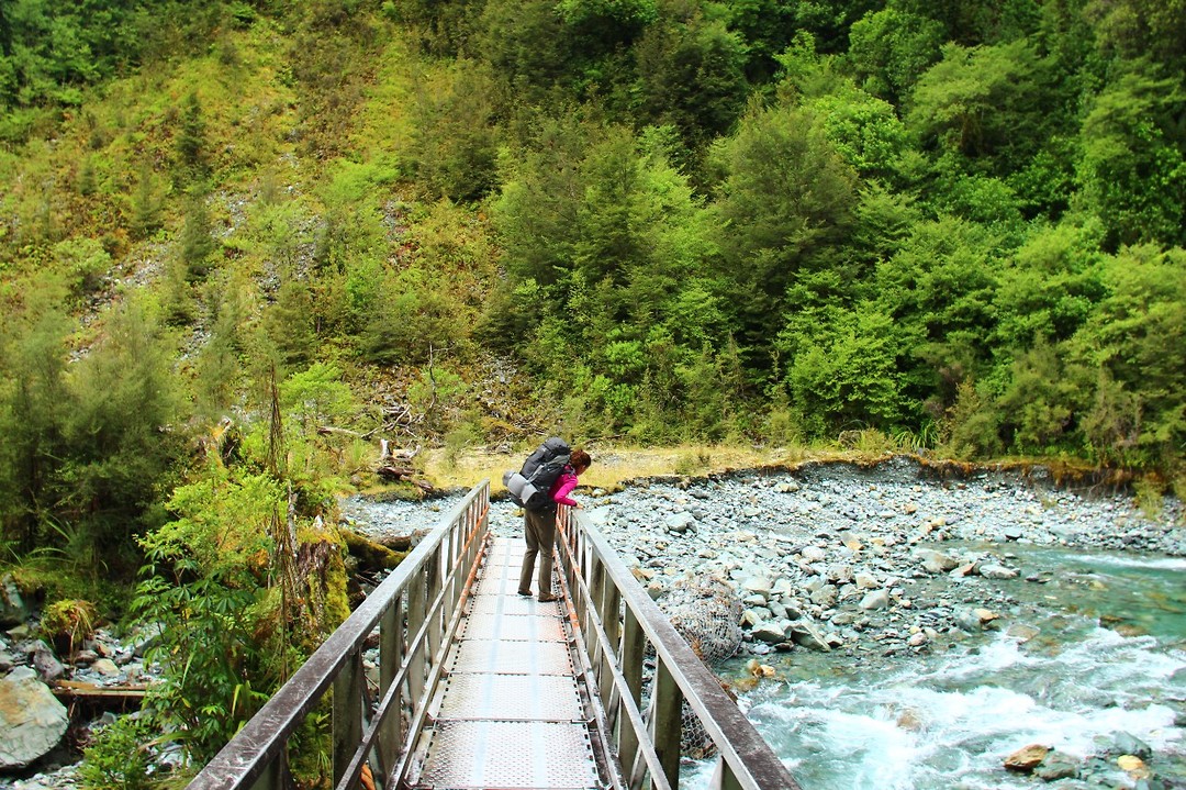 Hollyford Track