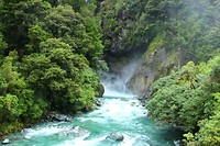 Hollyford Track
