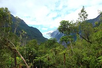 Franz Josef Glacier