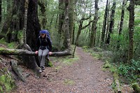 Lake Daniell Track