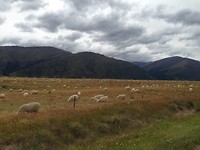 Queenstown