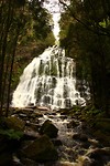 Nelson Falls