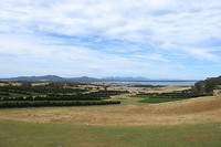 IMG_9645