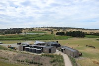 IMG_9646