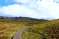 Cradle Valley