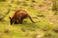 Cradle Valley