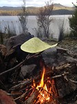 Lake Mackintosh