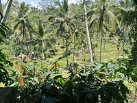 IMG_20191105_121337