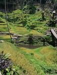 IMG_20191105_130448