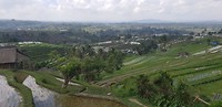 IMG-20191108-WA0012