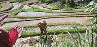 IMG-20191108-WA0014