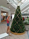 IMG_20191112_165840