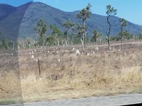 IMG_20191118_151139