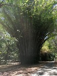 IMG_20191120_115733