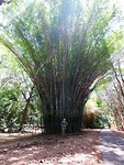 IMG_20191120_115810
