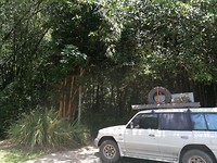 IMG_20191120_120336