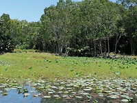 IMG_20191120_113916