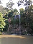 IMG_20191121_142722
