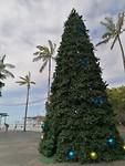 IMG_20191122_152651