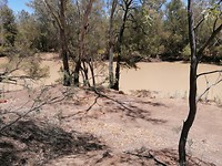 IMG_20191117_112813