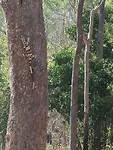 IMG_20191119_083045