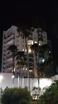 HIELE grutte flearmûzen yn Cairns city. Se hingje oerdei yn'e mango beamen.